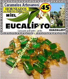 Honey and eucalyptus candies